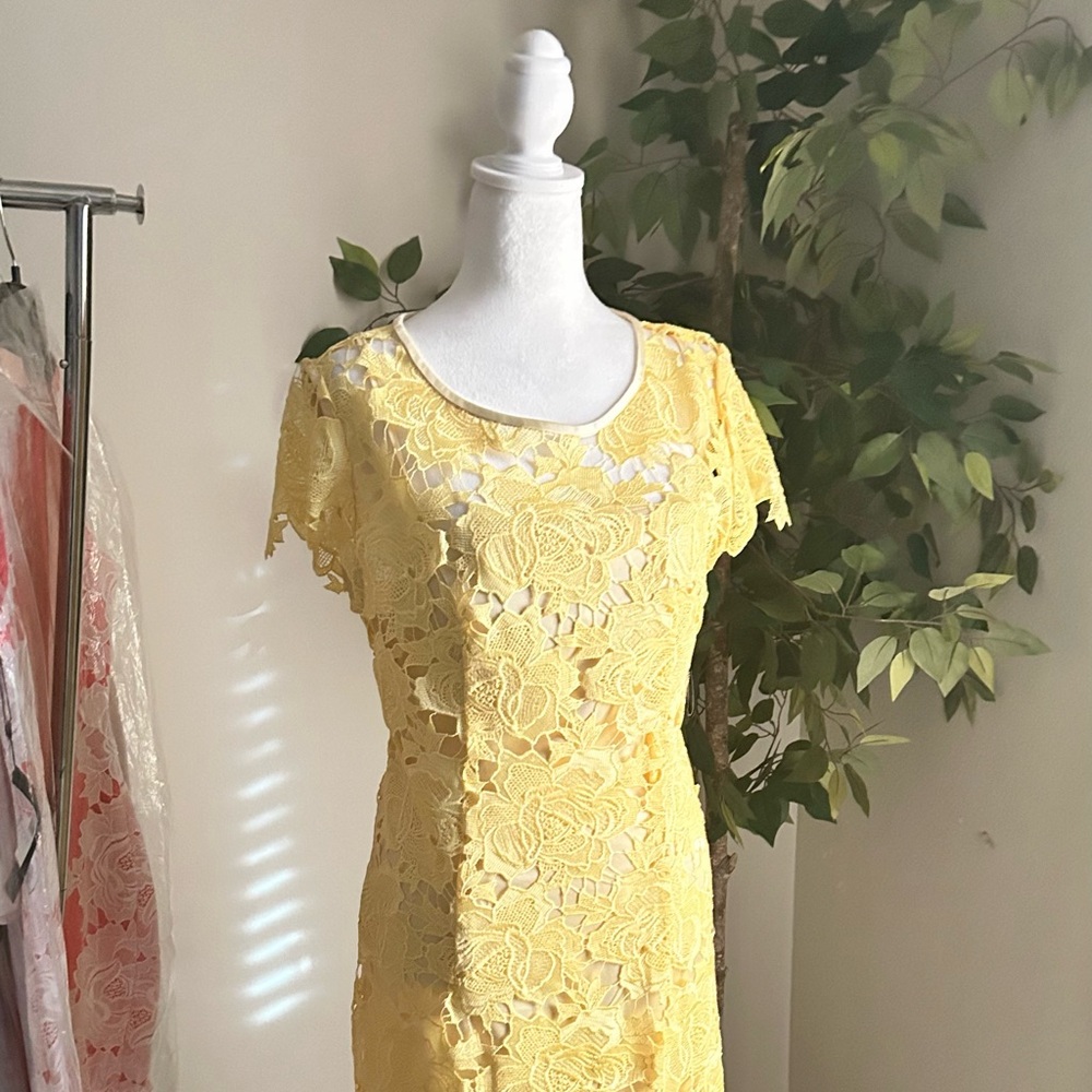 Yellow Lace Dress